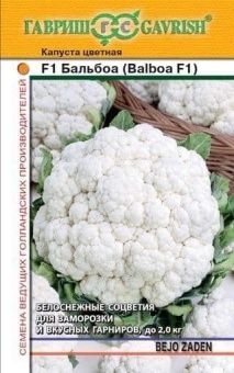 00007320 _ Капуста цветная Балбоа Голландия (Гаври