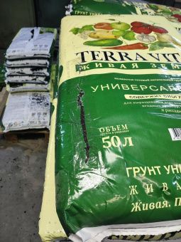 photo_2026-03-12_11-18-37