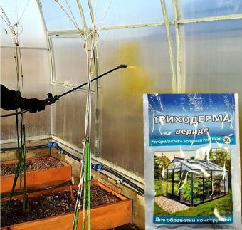 Триходерма вериде для ТЕПЛИЦ 30г (ВХ) 1