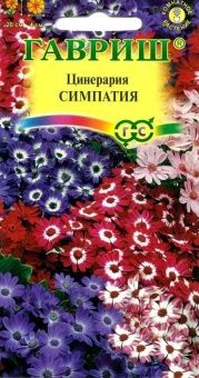 00007757_Цинерария Симпатия цветущая гибридная (Га
