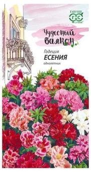 00007871_Годеция Есения серия Чудесный балкон (Гав
