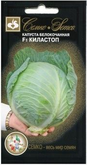 00034601_ Капуста бк Киластоп F1 килоустойчивая (С