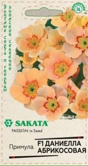 00033961_Примула Даниелла абрикосовая F1 5шт (Гавр