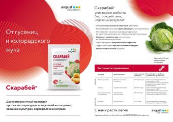 Скарабей_2х