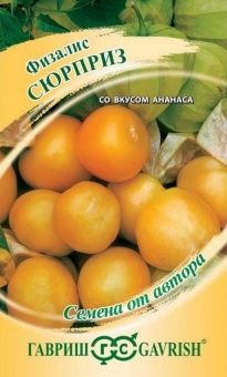 00025093_Физалис Сюрприз изюмный (Гавриш) 1_1000