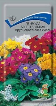 00036632_Примула Крупноцветковая бесстебельная сме