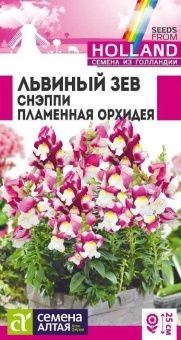 00035708_Львиный зев Снэппи Пламенная орхидея 10шт
