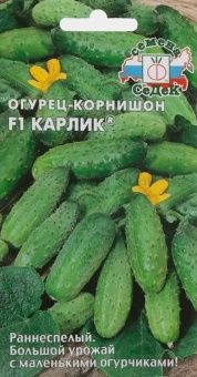 00034062_Огурец Карлик (СеДек) (2)