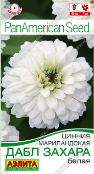 Снимок экрана 2025-08-01 160230