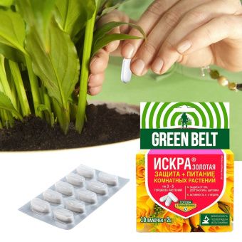 искра золотая