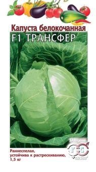 00008477_Капуста бк Трансфер (Гавриш)