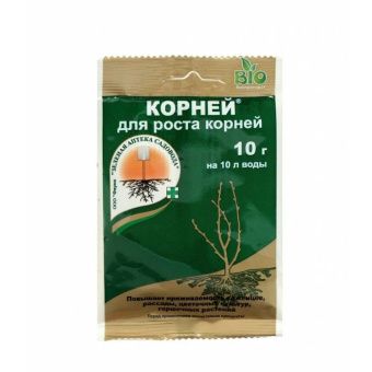 00041507_Корней 10г (ЗА)