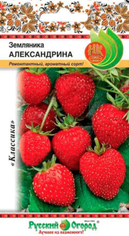 Снимок экрана 2025-09-11 171152