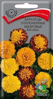 00021327_Бархатцы Бой смесь махровые отклоненные 0