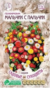 00041948_Гелихризум Мальчик с пальчик 0,1г серия С
