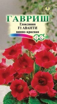 Глоксиния Аванти винно-красная (Гавриш) 1/1000