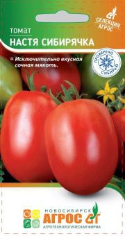 томат настя сибирячка
