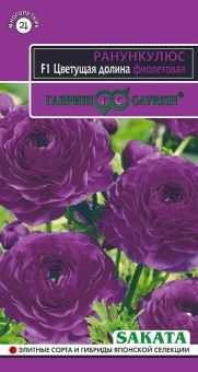 00020299_Ранункулюс Цветущая долина фиолетовая (Га