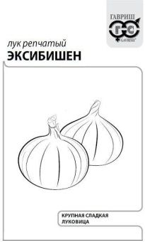 00013959_Лук Эксибишен БП Голландия (Гавриш)
