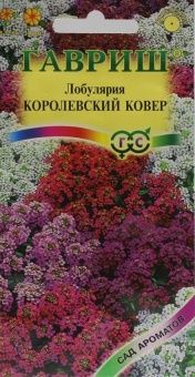 00008334_Лобулярия Королевский ковер серия Сад аро