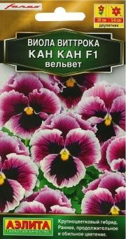 00002850_Виола Кан Кан вельвет (Аэлита)