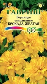 00011595_Бархатцы Брокада желтая отклоненные (Гавр