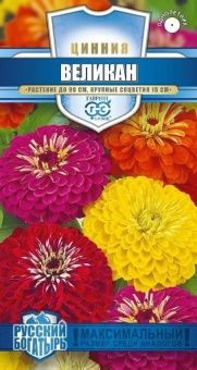 00026410_Цинния Великан смесь серия Русский богаты