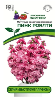 Снимок3