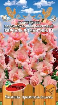 szxwq132vv1w6f0jw31at3gbc8vf6jn0