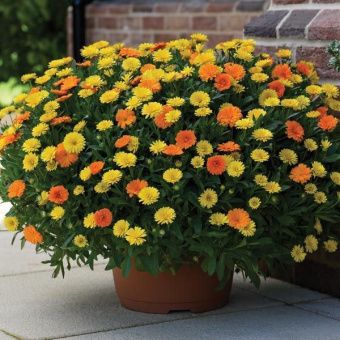 v26230b9emh6c6buvs89unkkd9xled5h