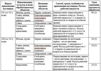 Бордоская жидкость 100мл (Август)