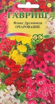 00012618_Флокс Очарование смесь друммонда (Гавриш)