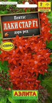 00035408_Пентас Лаки Стар дарк ред (Аэлита)