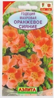 00004320_Годеция Оранжевое сияние махровая (Аэлита