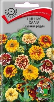 00041156_Цинния Хаага Огненная радуга 0,3гр (ПОИСК