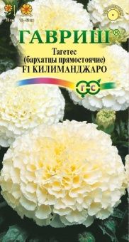 00007847_Бархатцы Килиманджаро прямостоячие (Гаври