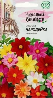 00010196_Георгина Чародейка смесь (Гавриш)