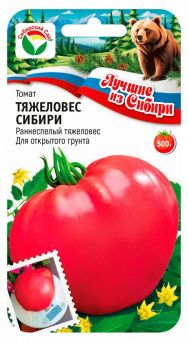 hy5d8198318e7ebdsur4zdwscjegb491