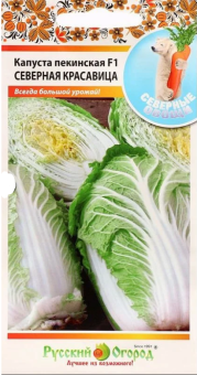 00004854_Капуста пекинская Северная Красавица (НК)