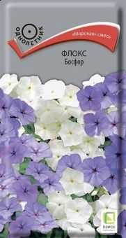 00036634_Флокс Босфор друммонда 0,1г (ПОИСК)