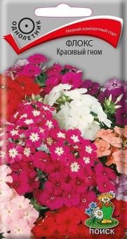 00041150_Флокс Красивый гном 0,2гр (ПОИСК)