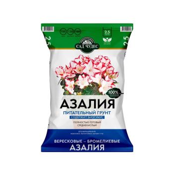 00002601_Сад Чудес Азалия 2,5л (Норд Палп)