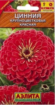 00001951_Цинния Крупноцветковая красная (Аэлита)