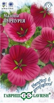 00007935_Малопа Пурпурея (Гавриш) 1_800
