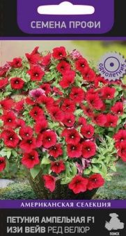 00029413_Петуния Изи Вейв Ред Велюр ампельная 5шт 