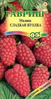 00007172_Малина Сладкая Ягодка (Гавриш) 1_1000