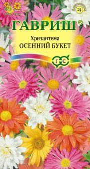 00006970_Хризантема индийская Осенний букет (Гаври