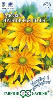 00007175_Рудбекия Ирландская весна серия Устойчив 