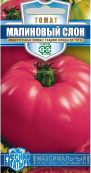 Снимок экрана 2025-12-22 094346