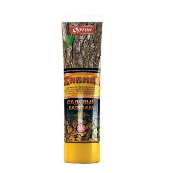 00002646_Живица Бальзам вар садовый 250г 1_18 (Орт